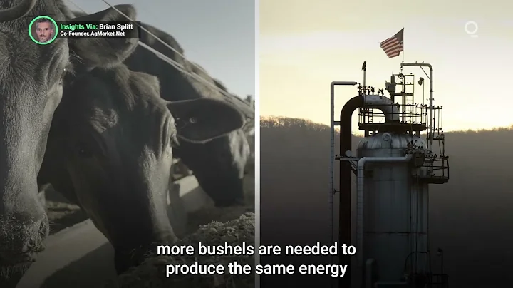 US Corn and Soybean Farmers Battle Drought Conditions