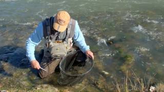 Czech Nymphing Series Lesson 4: Stomach Pumping