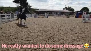 League Final At Wb With Spotaroo