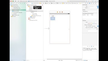 Collection View (Part 2) - Setup Direct References
