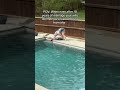 #trending #shortsviral #couple #funny #marriage #humor #pool #cleaning #viralvideo