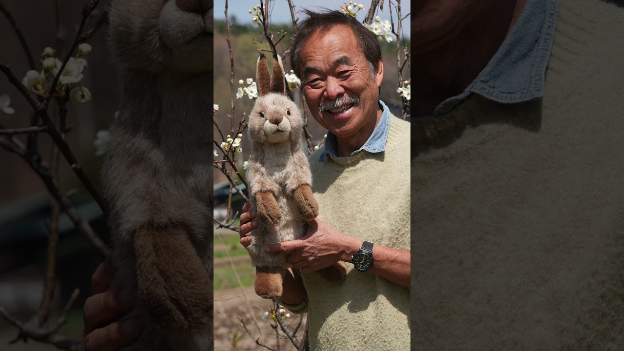 🐻「やまね工房」のぬいぐるみ！ - YouTube