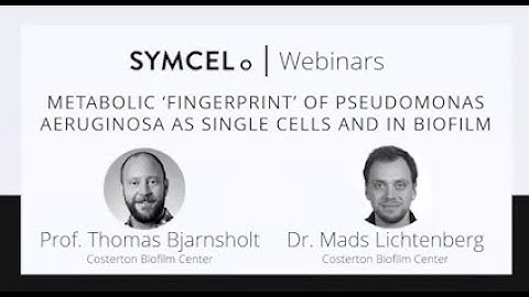 Metabolic "fingerprint" of Pseudomonas aeruginosa as single cells in biofilm