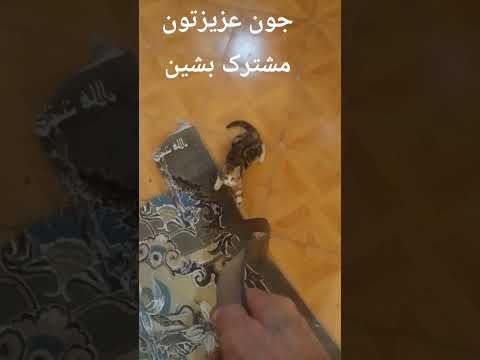 دوستان چند ماه من کلیپ میزارم وخاهش میکنم مشترک بشین بی تفاوت رد میشین بهتون احتیاج دارم جان عزیزتون