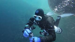 HEMMOOR (KREIDESEE) - Sidemount Trip 2024