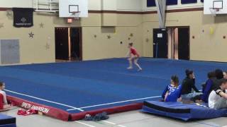 Level 4 Floor Routine - Jan 2017