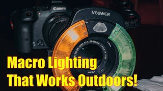 Neewer RF1 Macro Ring Flash Review | Real-World Nature Walk & Macro Photo Test
