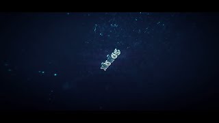 Baloek Intro Xiodos