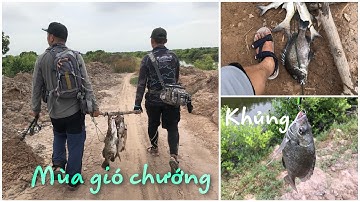 Mùa gió chướng ,mùa câu cá hanh ( cá tráp ) ,đầm cá hanh quá lớn ,bình đại ( 2020 )