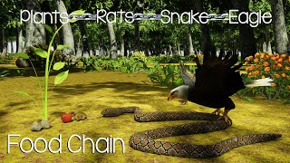 What Is A Food Chain | Animation Video | Crystal Clear Video on Food chain | Simple English