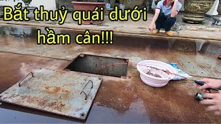 ✅ Câu cá ở hầm cân khi đi từ Đaklak về Sài Gòn | DUY FISHING