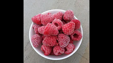 Co se děje po výsadbě maliníku?