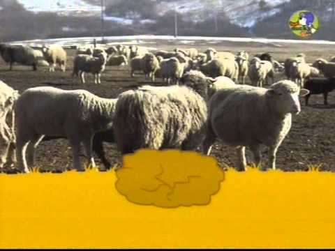 Video 0223 1349CH 27 09