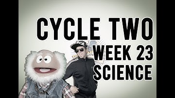 Cycle 2 Week 23 Science: How Does Heat Flow?