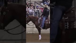 🎥 **Does your horse spook at every little thing?** 🐿️ It's time to teach them responsibility! A