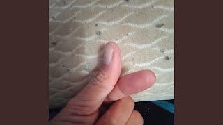 Demen sampean