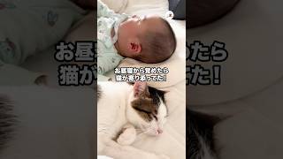 お昼寝から覚めたら…🤭｜PECO