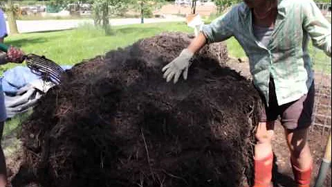 Elaine Ingham Soil Food Web Compost and Compost Tea