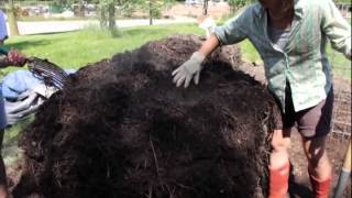 Elaine Ingham Soil Food Web Compost and Compost Tea