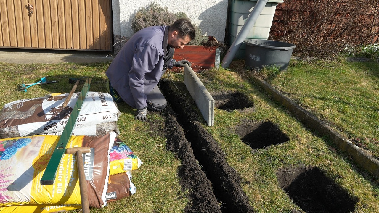 Ein neuer Standort für die Heidelbeeren muss her. Beet anlegen und umgestaltung.