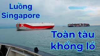 Vlog#44 Review luồng Singapore lớn thứ 2 thế giới , tàu nhiều và lớn cỡ nào ?