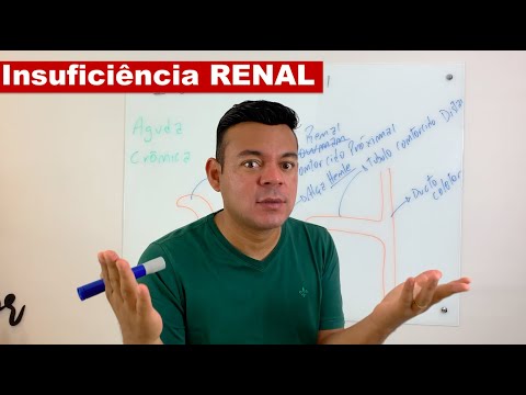 Vídeo: Competência profissional dos professores