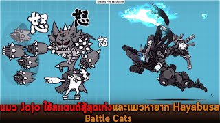 แมว Jojo ใช้สแตนด์สู้สุดเก่งและแมวหายาก Hayabusa Battle Cats