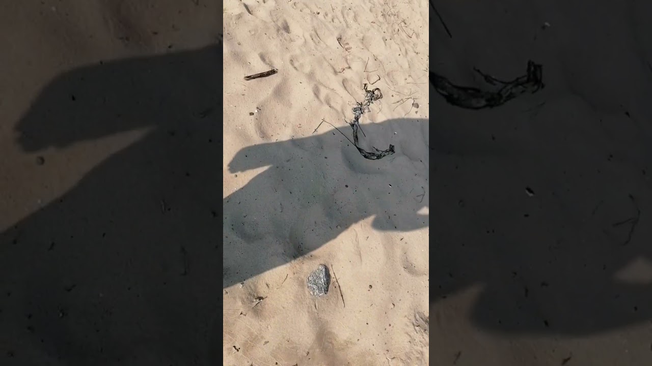 Красим лодку на базе!