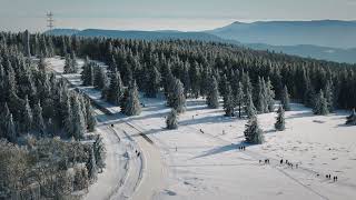 Beautiful Nature  1920 1080 60fps