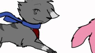 Mackys Birthday Animation