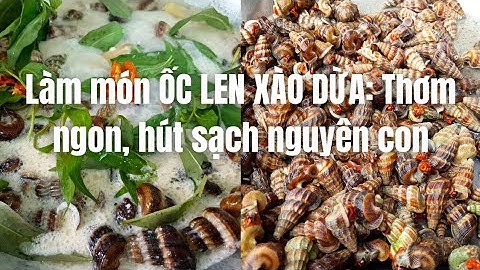Làm ốc len xào dừa rất ngon: Nửa kg ốc len 100k - 20k nước cốt dừa - Món ngon Sài Gòn