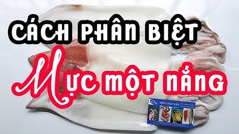 Phân biệt mực một nắng ngon | Hướng dẫn cách nhận biết mực một nắng sao cho chuẩn