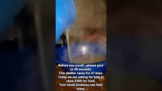 visit my donation information in the bio to donate @Danielle-MusicMovies @770daniella