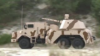 Thales - RAPIDFire 40mm Multi-Role Ground-Based Gun System [720p]