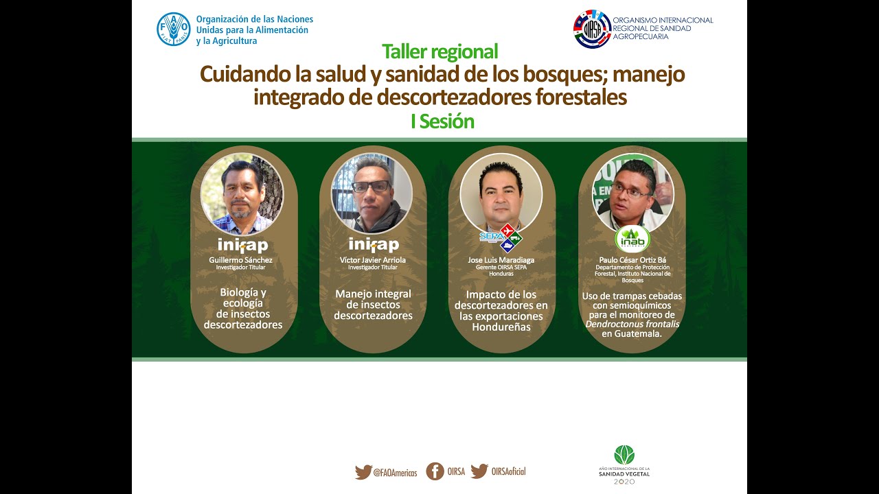Taller Regional Cuidando la Salud y Sanidad de los bosques --SECCION 2