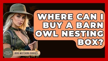 Where Can I Buy A Barn Owl Nesting Box? - Bird Watching Diaries