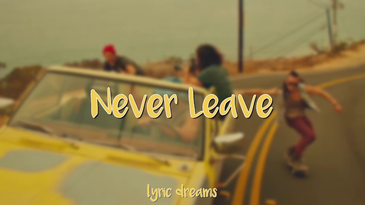 DVBBS - Never Leave (Lyrics)