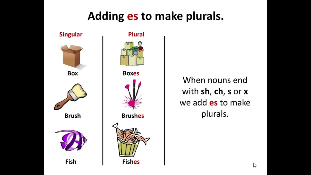 Nouns pictures. Singular and plural Nouns презентация. Plural forms of Nouns. Plurals презентация. Singular Nouns.