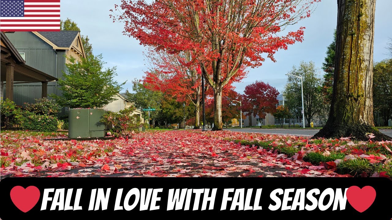 fall-season-in-usa-a-glimpse-of-fall-season