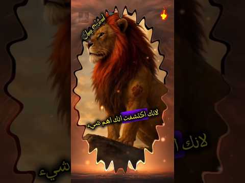 هيقولوا عنك مجنون بس انت فهمت اللعبة كلام من القلب  اكسبلور كلام من ذهب اقتباسات