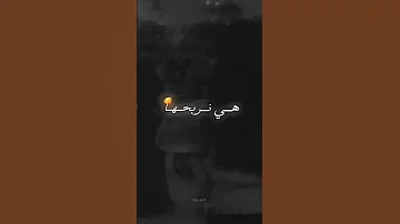 Cheb Bilal Babilo قنبلة التيكتوك 