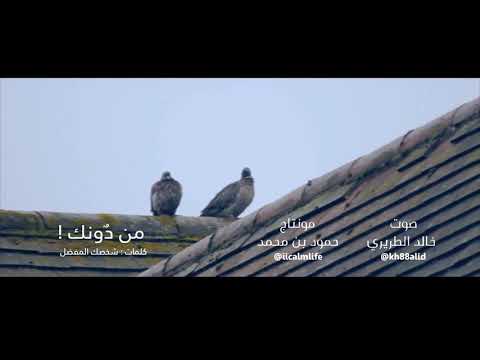 من دونكي ياحلم حياتي