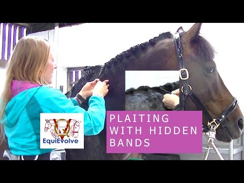 How To Plait A Horses Mane With Concealed Bands