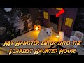 🐹 My daring hamster enter into the Scariest Haunted House - Halloween 2021 Edition