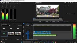 Premiere Pro - Essential Audio Editing  - Short Film
