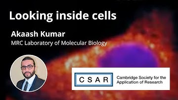 An advance in imaging: seeing more in living systems.