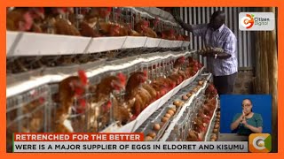 How Hesbon Were found solace in chicken farming after being retrenched from a Kenyan parastatal