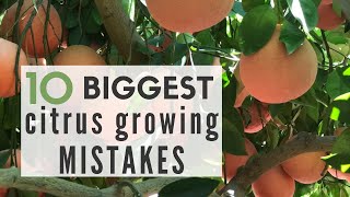 10 Biggest CITRUS GROWING MISTAKES