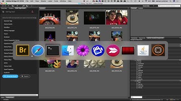 Adobe Bridge Custom Keywords and AEM Tags Panel