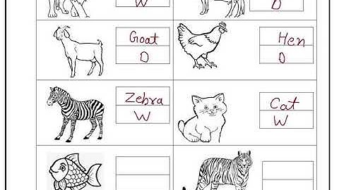 EDMC CLASS 3RD ENGLISH WORKSHEET WEEK 13 WEDNESDAY 14/10/2020